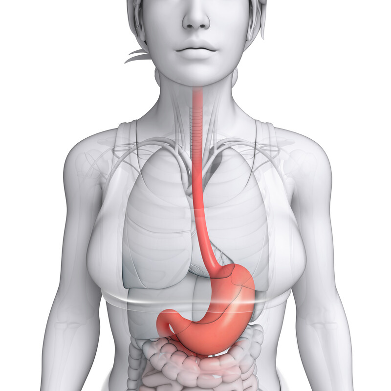 how long does an endoscopy take